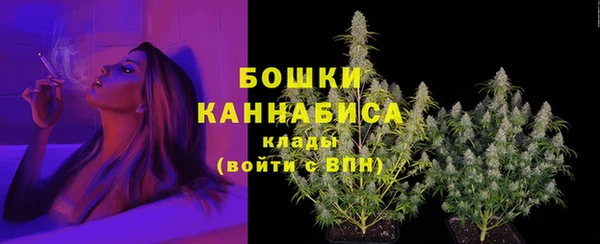 mdma Пересвет